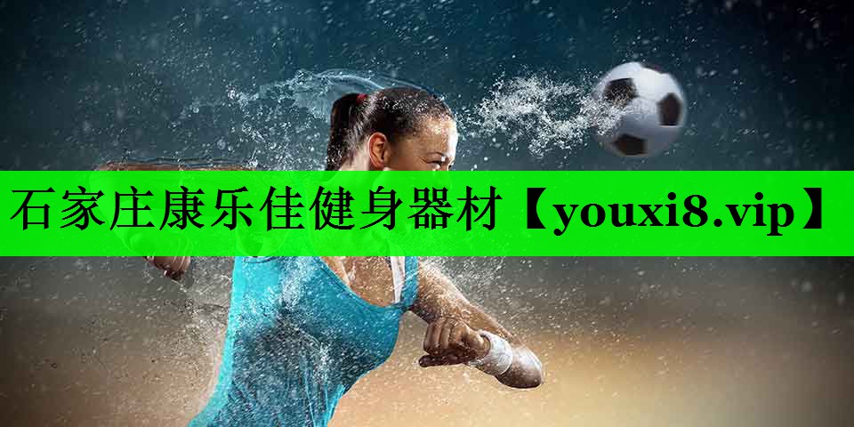 石家庄康乐佳健身器材